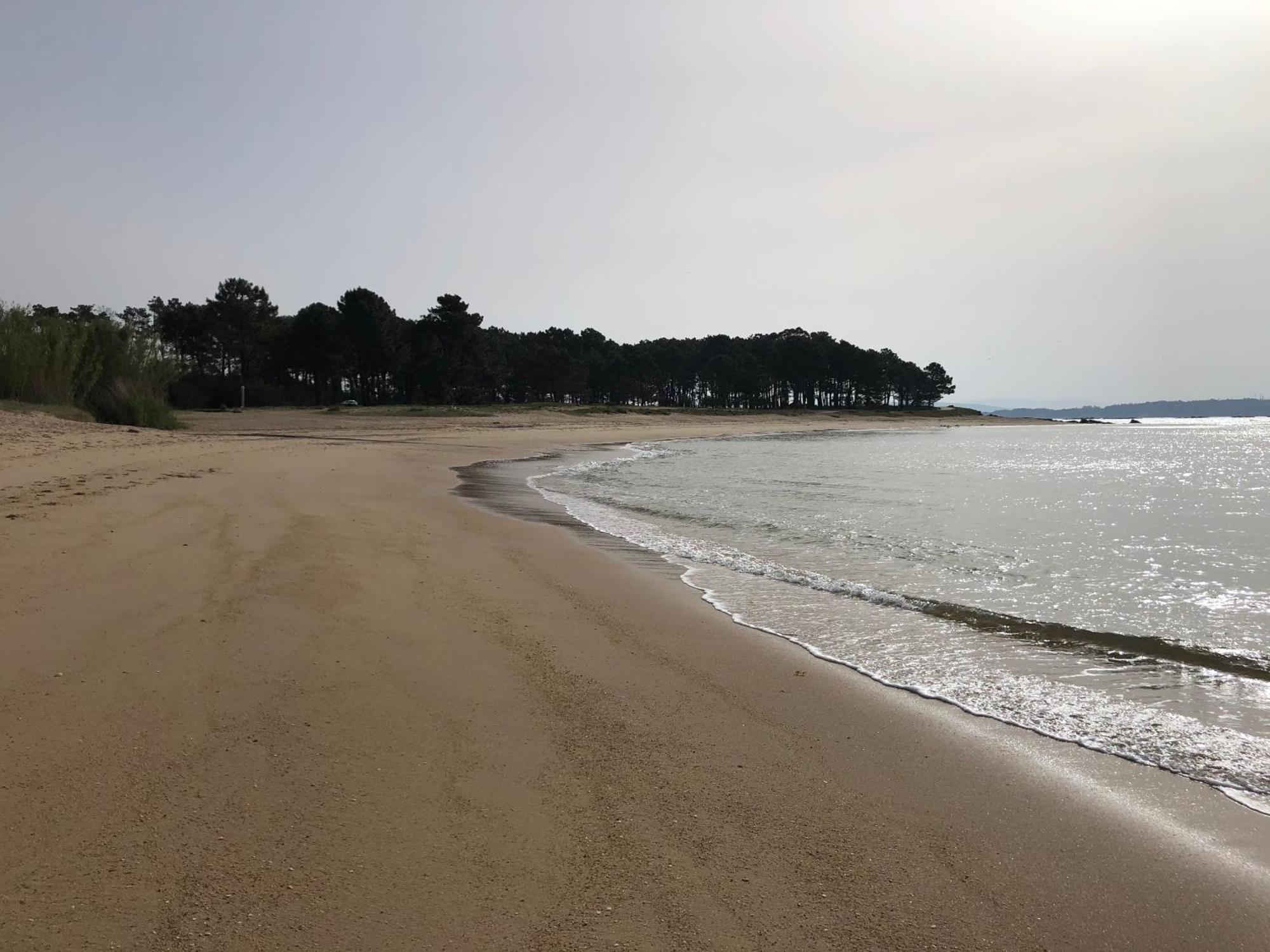 Apartamento Playa Da Corna Palmeira Luaran gambar